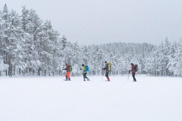 En snørik torsdag i februar 2020 dro en liten gjeng inn i selve indrefileten av Lillomarka utenfor hovedstaden, nemlig Barlindåsen, Granberget og Fugleleiken. Dette området skjuler et av Oslo-skogenes mist besøkte områder, målt i tilgjengelighet fra vei.